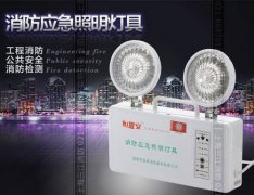 消防應急照明和疏散指示系統的聯(lián)動(dòng)控制設計